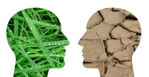 Finalizan los &lsquo;Diplomados en cambio clim&aacute;tico&rsquo;