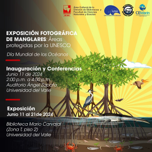 D&iacute;a Mundial de los Oc&eacute;anos 2024