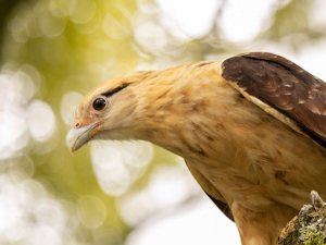Una oportunidad para construir un futuro m&aacute;s sostenible