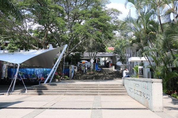Rechazo vehemente a las acciones intimidatorias en la Universidad del Valle