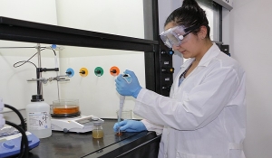 De Colombia a Jap&oacute;n con uso de im&aacute;genes digitales para  an&aacute;lisis qu&iacute;mico