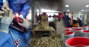 Investigaci&oacute;n y ciencia: s&iacute; se puede