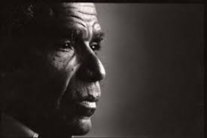 El X Simposio Jorge Isaacs, un tributo polif&oacute;nico a Zapata Olivella