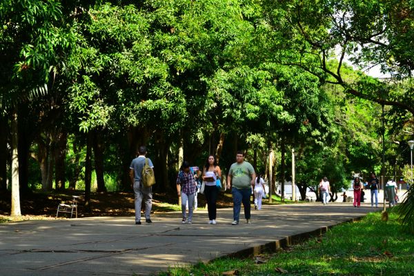 El Sistema Universitario Estatal se pronuncia sobre negociaciones de paz