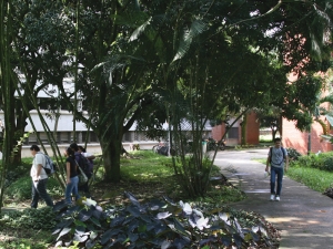 Comunicado sobre el control de vectores rastreros y voladores en los Campus de Mel&eacute;ndez y San Fernando