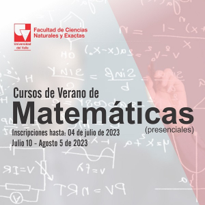 Cursos de Verano de Matem&aacute;ticas