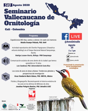 Segundo Seminario Vallecaucano de Ornitolog&iacute;a &ndash; SVO Cali
