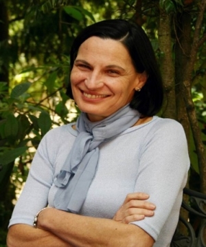 La historia en la coyuntura pol&iacute;tica colombiana