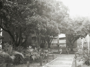 Historia del Instituto de Educaci&oacute;n y Pedagog&iacute;a