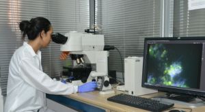 Abiertas inscripciones a Doctorado