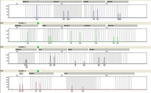 Laboratorio de Gen&eacute;tica pasa pruebas de Sociedad Latinoamericana