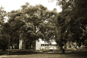 'Licenciatura en F&iacute;sica', nuevo programa de Univalle