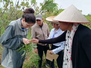 La carrera contrarreloj para frenar la escoba de bruja