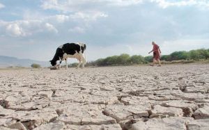 Variabilidad Clim&aacute;tica y agua en Monterrey