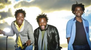 La verdadera causa de Herencia de Timbiqu&iacute;