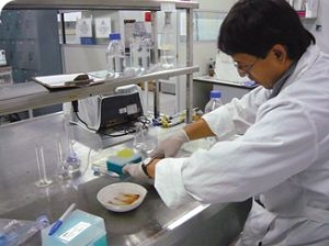 Enzimas que degradan antibi&oacute;ticos