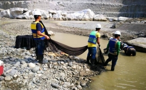Hidroituango y la afectaci&oacute;n de los ecosistemas