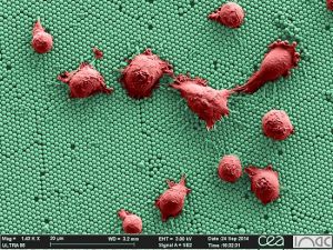 Cient&iacute;ficos de Francia y Am&eacute;rica Latina trabajar&aacute;n en temas Nano