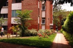 Facultad de Humanidades reconoce docentes