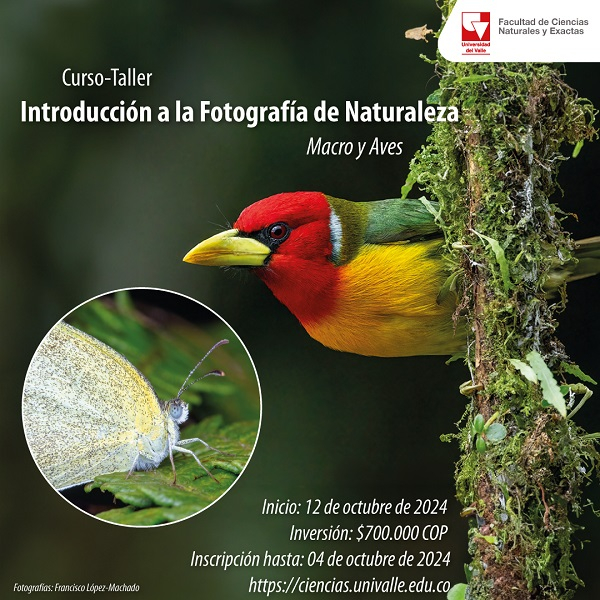 Curso-Taller de Fotograf&iacute;a de naturaleza: Macro y Aves