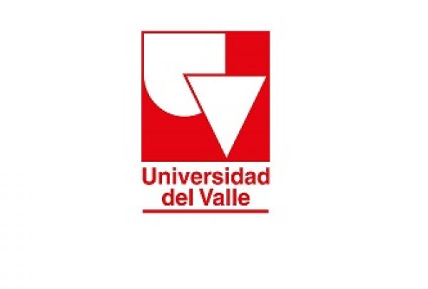 Univalle en Consejos de Pol&iacute;tica Social de Cali y del Valle del Cauca