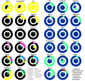 Los habitantes de la casa verde