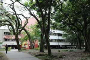 El jard&iacute;n de Freud