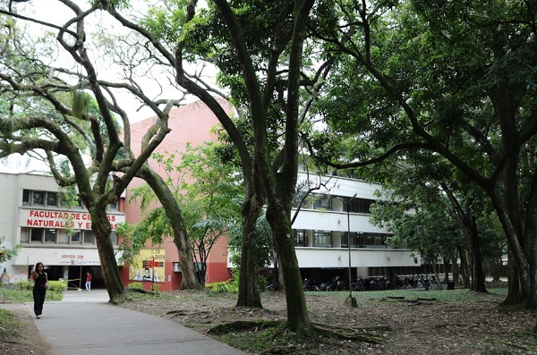 El jard&iacute;n de Freud