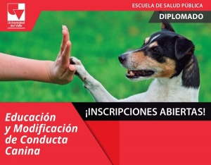 Diplomado en Educaci&oacute;n y Modificaci&oacute;n de Conducta Canina