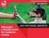 Diplomado en Educaci&oacute;n y Modificaci&oacute;n de Conducta Canina