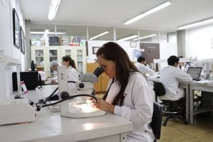 La Ciencia al Servicio de la Paz