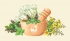 Plantas medicinales: una tradici&oacute;n con efectos secundarios