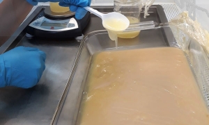 Proyecto de Biolog&iacute;a, finalista en premios CIDESCO