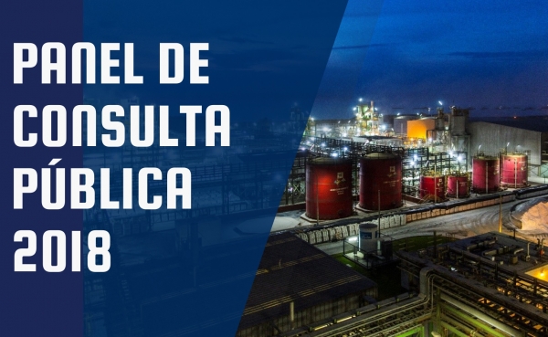 Gesti&oacute;n del Riesgo Qu&iacute;mico