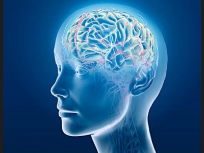 Investigan sobre la reacci&oacute;n de las neuronas ante el trauma