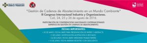 III Congreso Internacional Industria y Organizaciones 2016