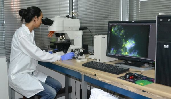 La Alta Calidad tambi&eacute;n se mide en los posgrados