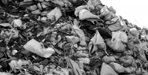 Univalle, ganadora en los Premios de Periodismo Alfonso Bonilla Arag&oacute;n