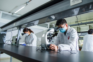 Liderando la investigaci&oacute;n y la  generaci&oacute;n del conocimiento para el desarrollo de la Regi&oacute;n.