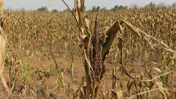 &iquest;Por qu&eacute; fallan los pron&oacute;sticos de El Ni&ntilde;o?