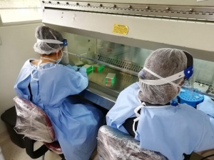 Proyecto de fortalecimiento de laboratorio de Univalle recibir&aacute; $3.600 millones de Minciencias