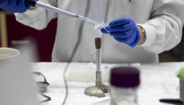 La Universidad del Valle y la Aut&oacute;noma de Occidente lanzar&aacute;n el primer y &uacute;nico doctorado en Bioingenier&iacute;a del Pa&iacute;s