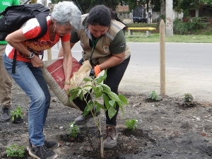 Gestores Ambientales encienden la Luz de la Paz, este 7 de diciembre