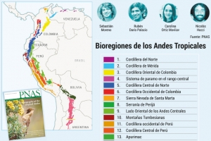 El &ldquo;parche&rdquo; cale&ntilde;o que public&oacute; un estudio de talla mundial