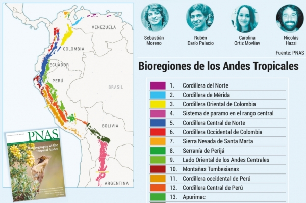 El &ldquo;parche&rdquo; cale&ntilde;o que public&oacute; un estudio de talla mundial
