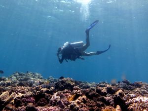 Egresada gana beca para tesis de doctorado en Australia