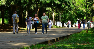 Primer Doctorado para la Paz en Colombia
