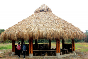 Con Ritual Sagrado se posesiona Cabildo Ind&iacute;gena Universitario en la Sede Norte del Cauca