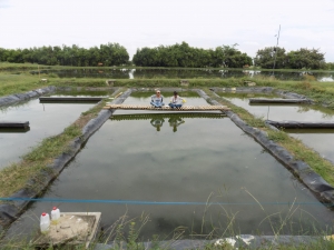 Patente para medir y almacenar datos de temperatura en agua y fluidos corrosivos