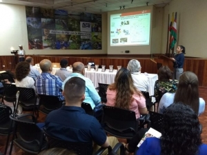 Estudio de Univalle y CVC muestra como reutilizar los escombros